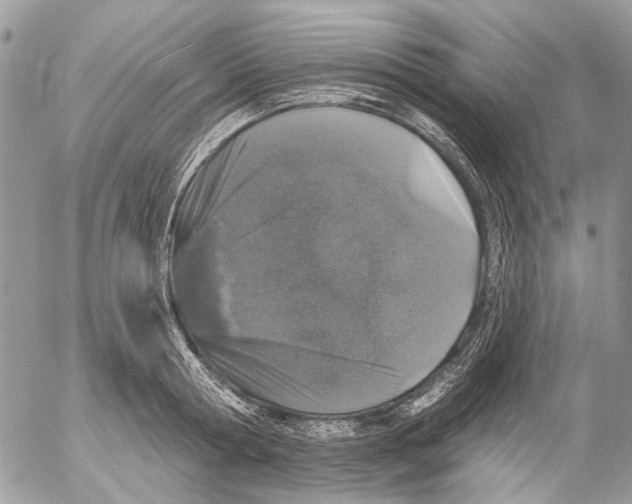 X0000053060802200508081152