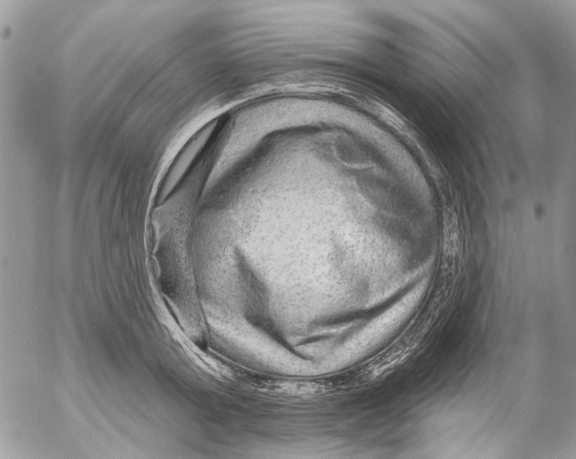 X0000053060803200508081152