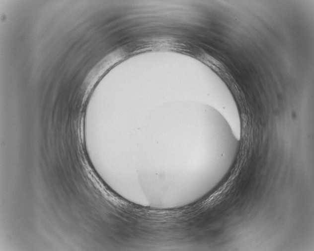 X0000053060804200508081152