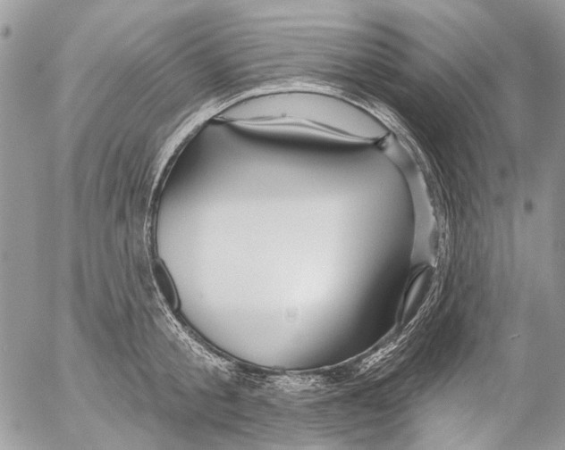 X0000053060805200508081152