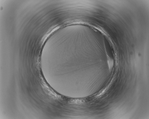 X0000053060806200508081152