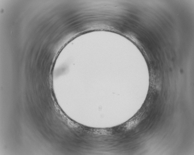 X0000053060807200508081152