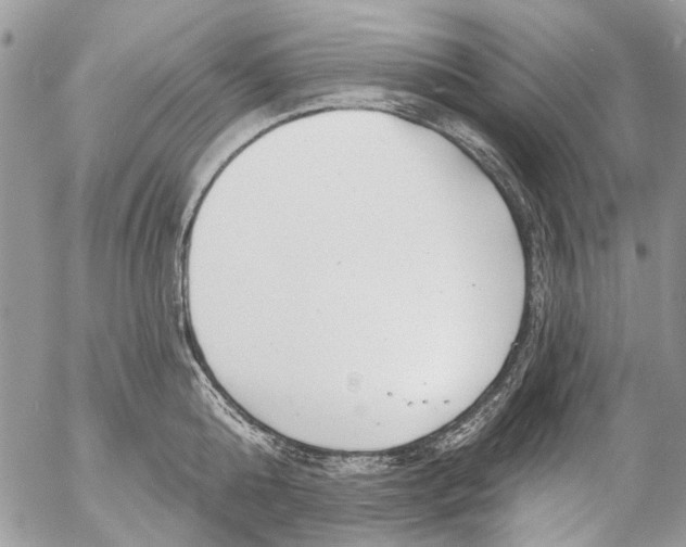 X0000053060808200508081152