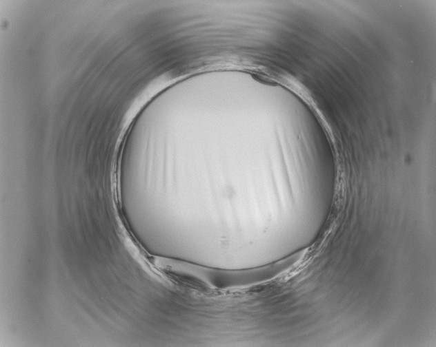 X0000053060811200508081152