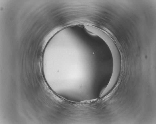 X0000053060812200508081152