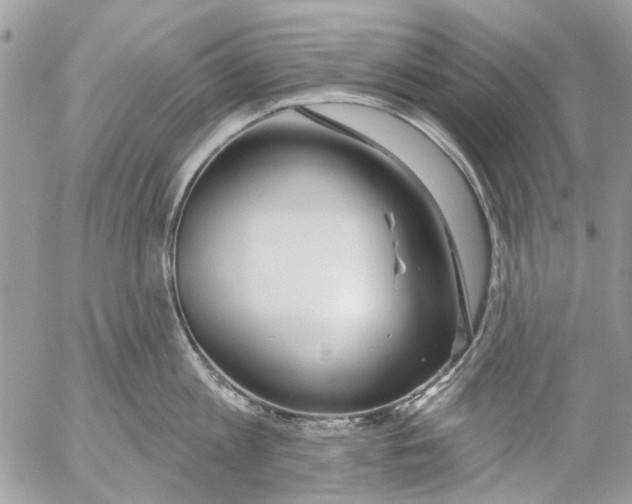 X0000053060813200508081152