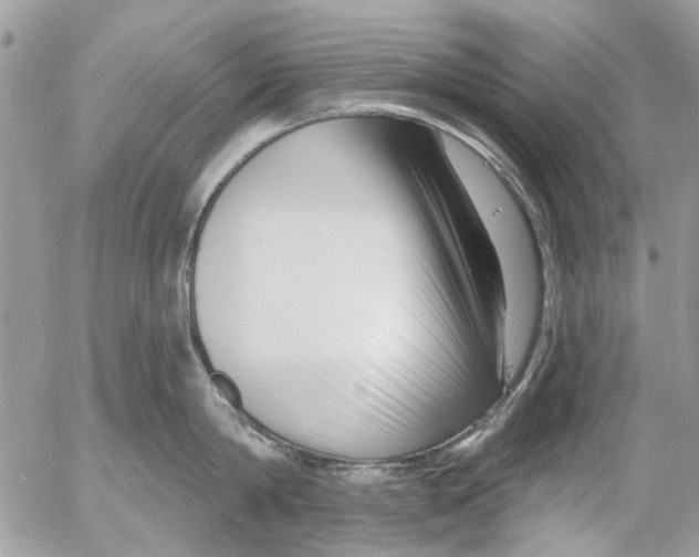 X0000053060814200508081152