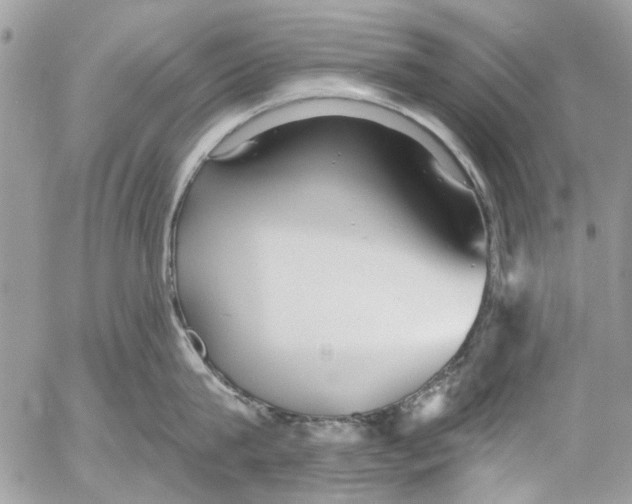 X0000053060815200508081152