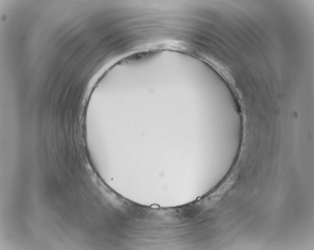 X0000053060816200508081152