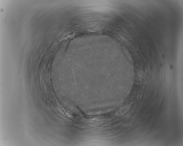 X0000053060817200508081151