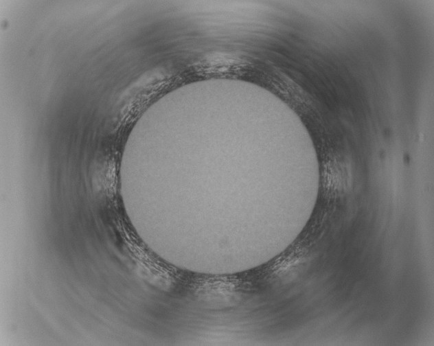 X0000053060820200508081151