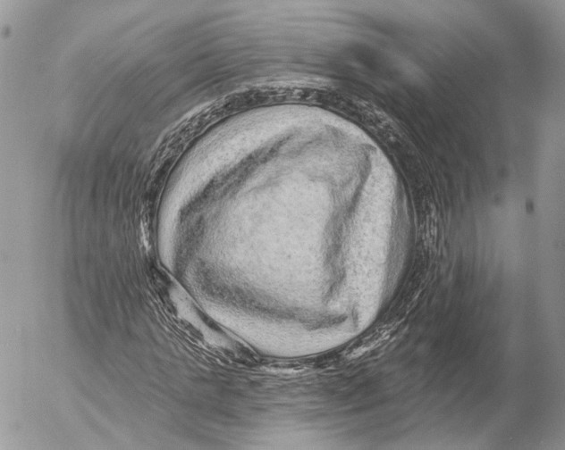 X0000053060821200508081151