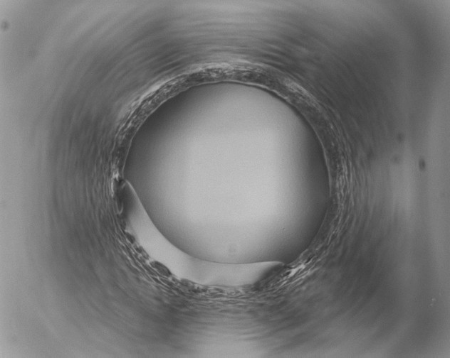 X0000053060822200508081151