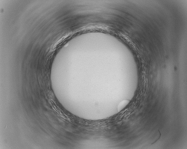 X0000053060824200508081151