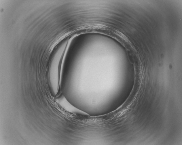 X0000053060826200508081152