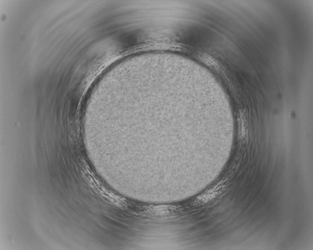 X0000053060828200508081152