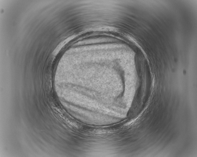 X0000053060829200508081152