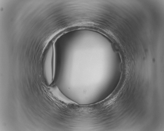 X0000053060830200508081152