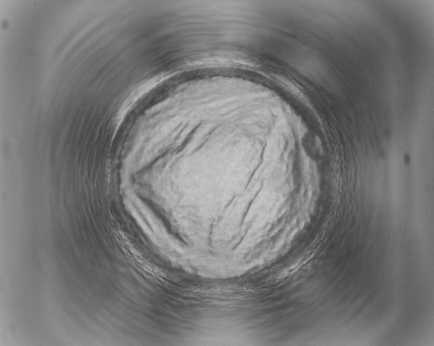 X0000053060831200508081152