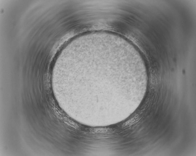 X0000053060832200508081152