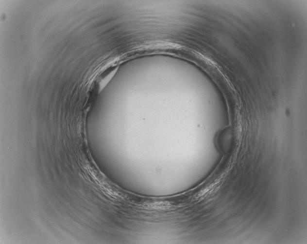 X0000053060833200508081152