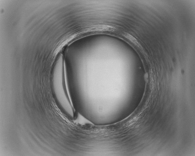 X0000053060834200508081152