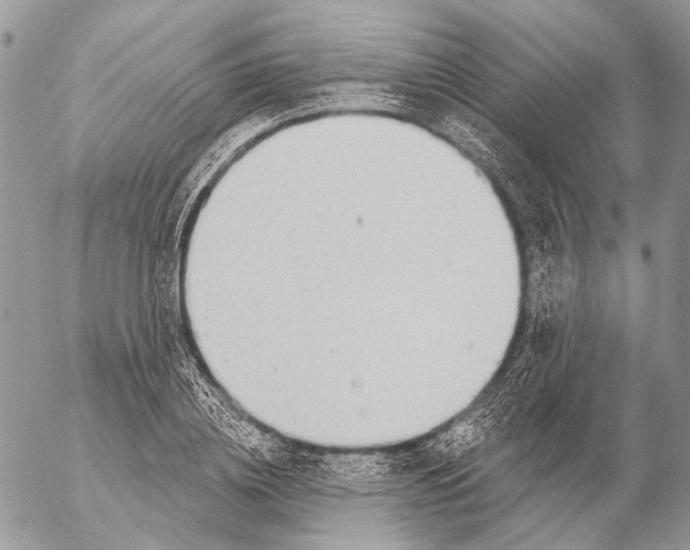 X0000053060836200508081152