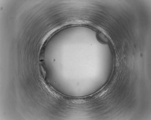 X0000053060837200508081152