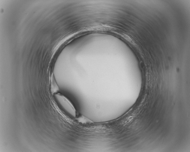 X0000053060838200508081152