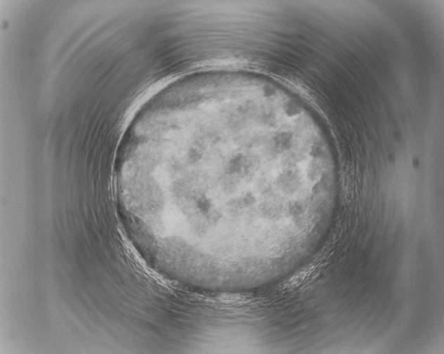 X0000053060839200508081152