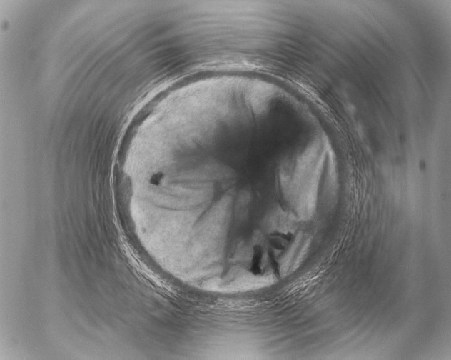 X0000053060840200508081152