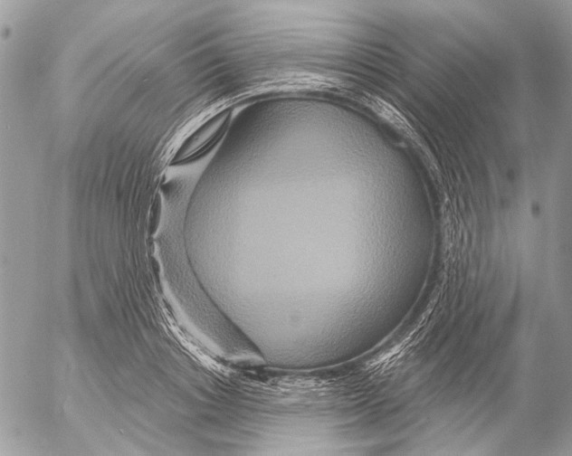 X0000053060842200508081152