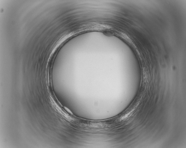 X0000053060843200508081152