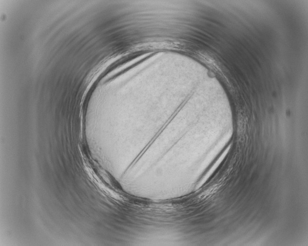 X0000053060844200508081152