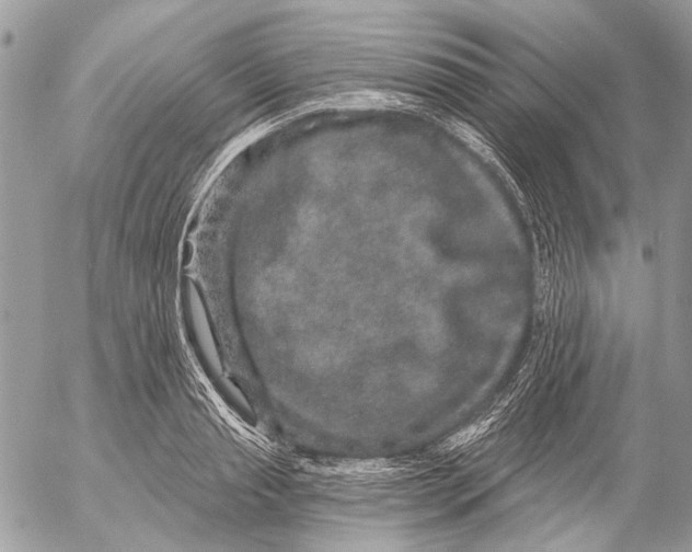 X0000053060845200508081152