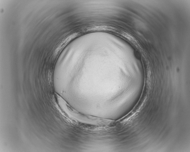 X0000053060849200508081152