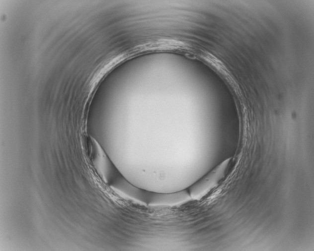 X0000053060850200508081152