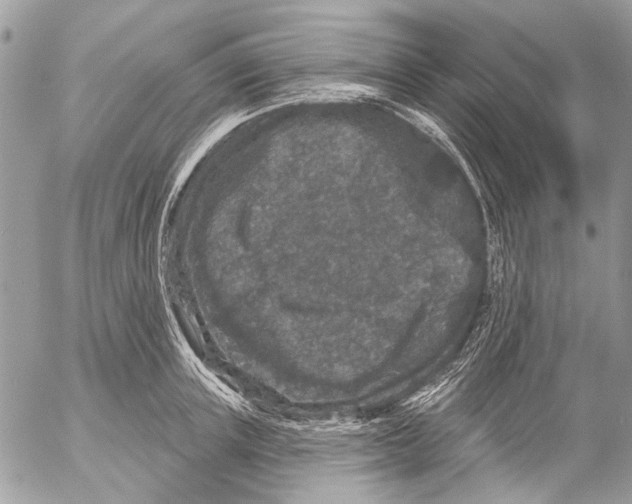 X0000053060851200508081152