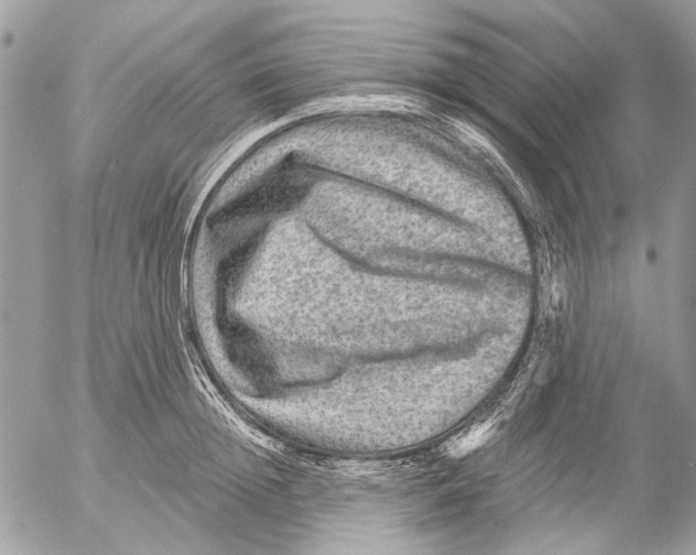 X0000053060852200508081152