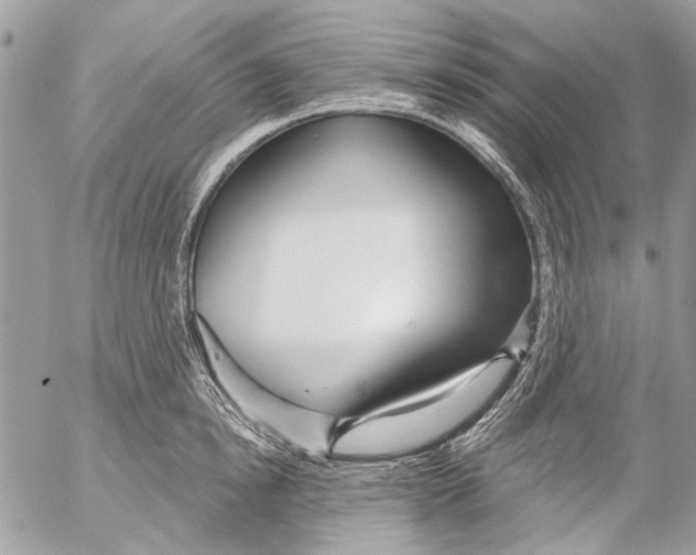 X0000053060854200508081152