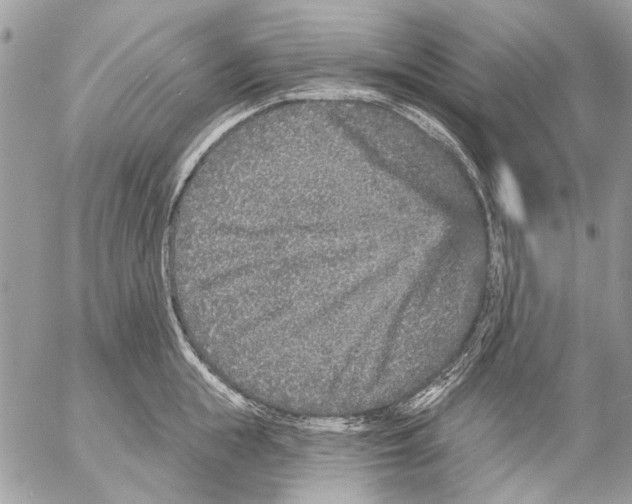 X0000053060855200508081152