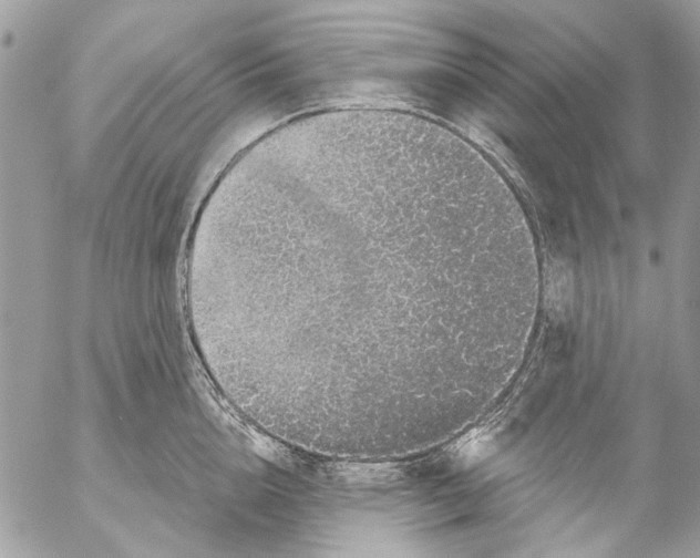 X0000053060856200508081152