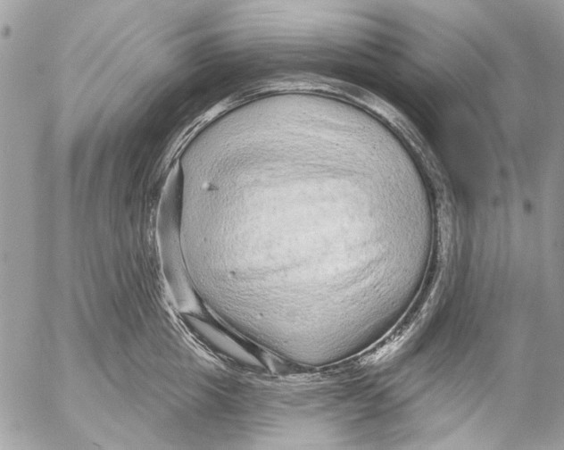 X0000053060857200508081152