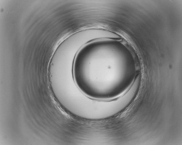 X0000053060858200508081152