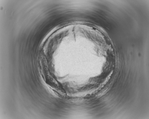 X0000053060859200508081152