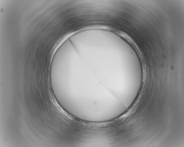 X0000053060860200508081152