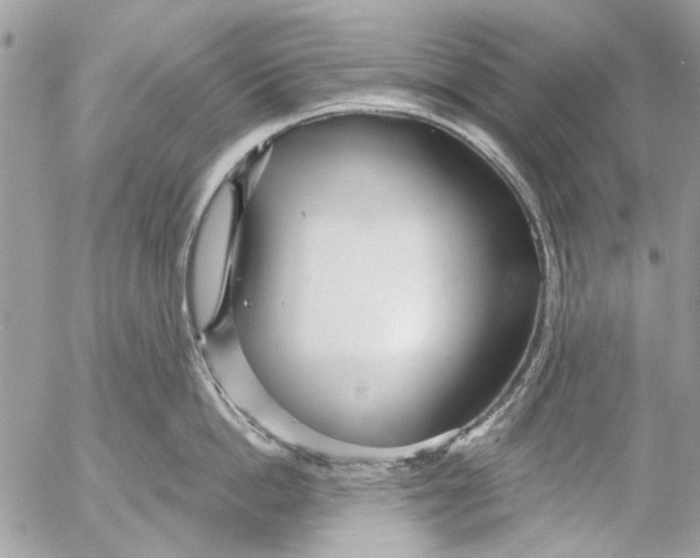 X0000053060862200508081152