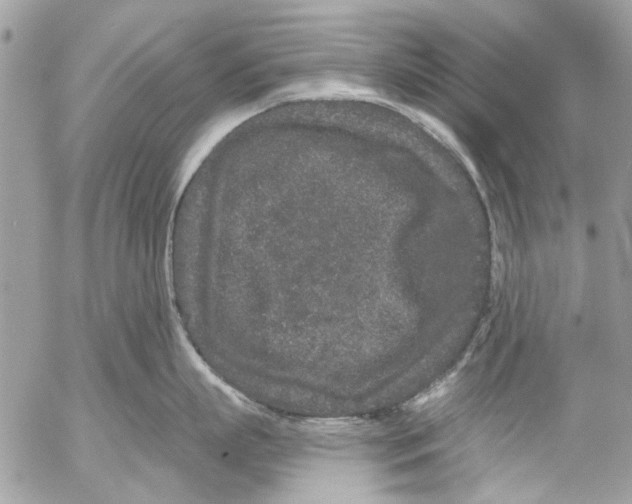 X0000053060863200508081152