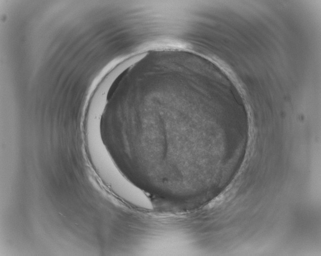 X0000053060864200508081152