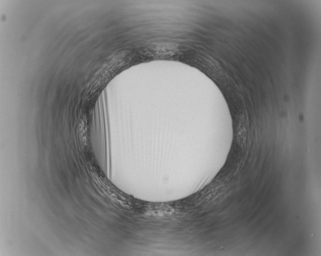 X0000053060866200508081151